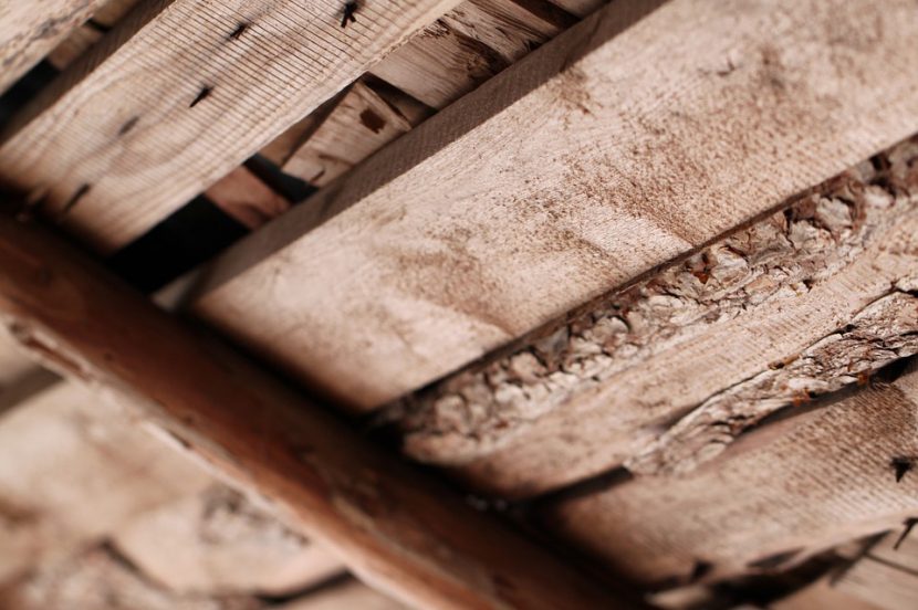 Cálculo de vigas de madera con entalladura en el apoyo
