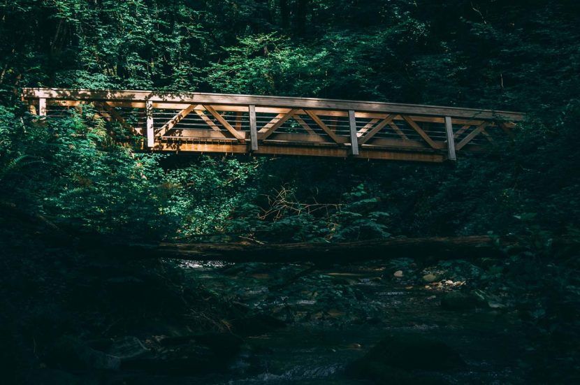 Pasarela con estructura de madera sobre río
